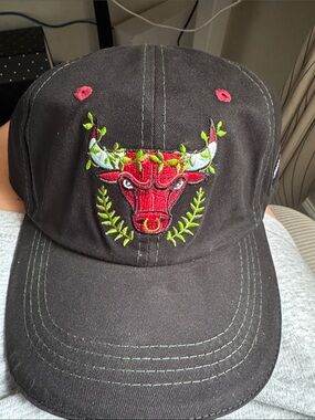 Chicago Bulls Artist Series Hat